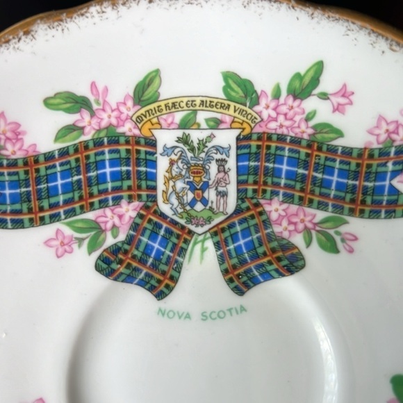 Nova Scotia Tartan  Teacup and Saucer Fine Bone China Vintage Gilt Edge Tea Cup - Picture 6 of 7